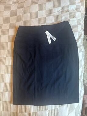 NWT Adrienne Vittadini studio skirt Rhodes navy blue size 10